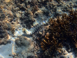 20190302_6.JPG
