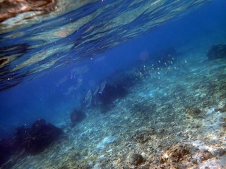 20190302_8.JPG