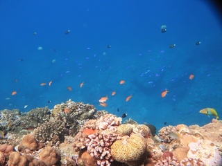 20190321_3.JPG