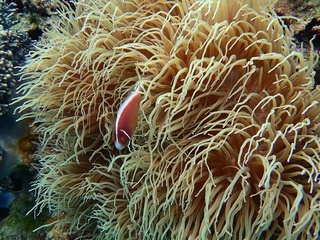 20190324_7.JPG
