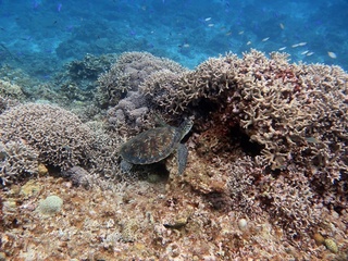 20190501_3.JPG