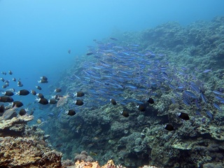 20190501_4.JPG