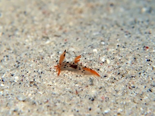 20190501_6.JPG