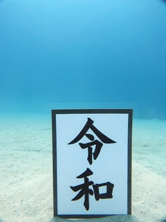 20190501_7.JPG