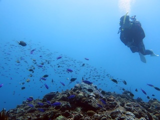 20190502_1.JPG