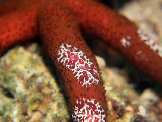 20190502_4.JPG