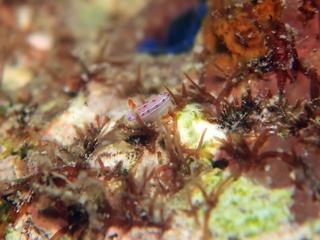20190518_4.JPG