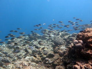 20190525_6.JPG