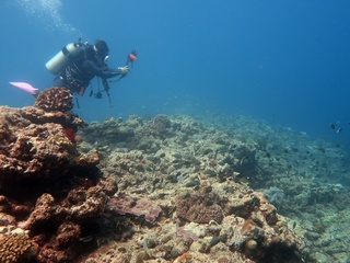 20190525_7.JPG