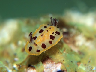 20190526_6.JPG