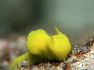 20190526_7.JPG