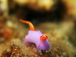 20190805_1.JPG