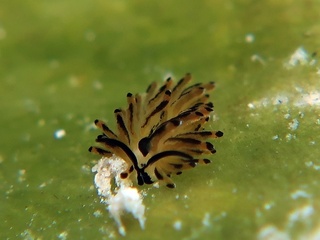 20190805_6.JPG