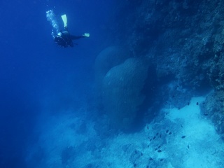 20190805_9.JPG