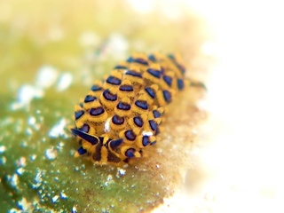 20190817_3.JPG