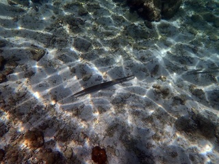 20190826_3.JPG