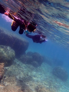 20190826_6.JPG