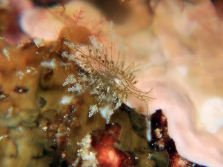 20191016_10.JPG