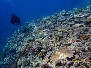 20191025_10.JPG