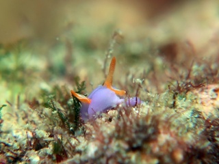 20191231_7.JPG