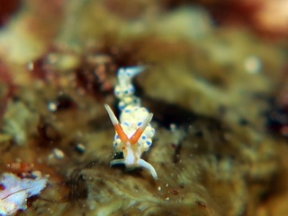 20200101_6.JPG
