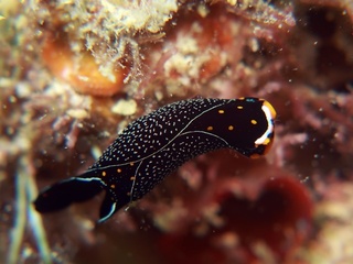20200204_8.JPG