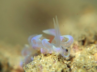 20200209_4.JPG