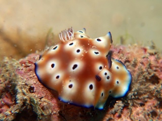 20200209_6.JPG