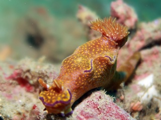 20200209_9.JPG