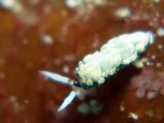 20200323_3.JPG