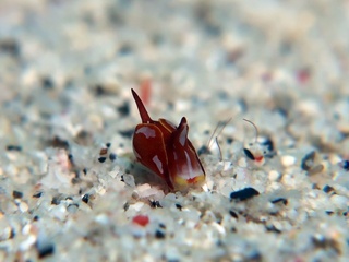 20200328_3.JPG