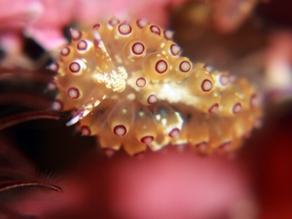 20200328_7.JPG