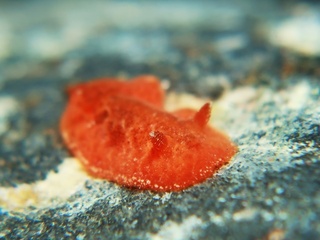 2023071101.JPG