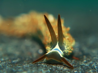 2023071106.JPG