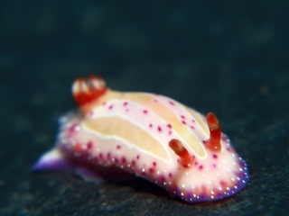 2023071108.JPG