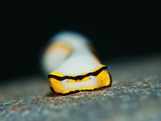 2023071205.JPG