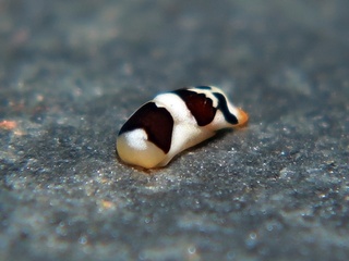 2023071207.JPG