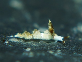 2023081404.JPG