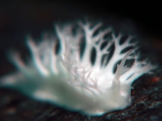 2023082203.JPG