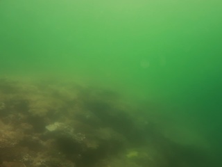20230823011.JPG